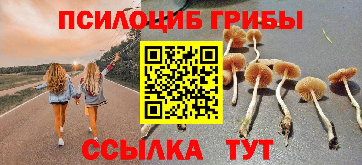 Галлюциногенные грибы Cubensis Сергиев Посад