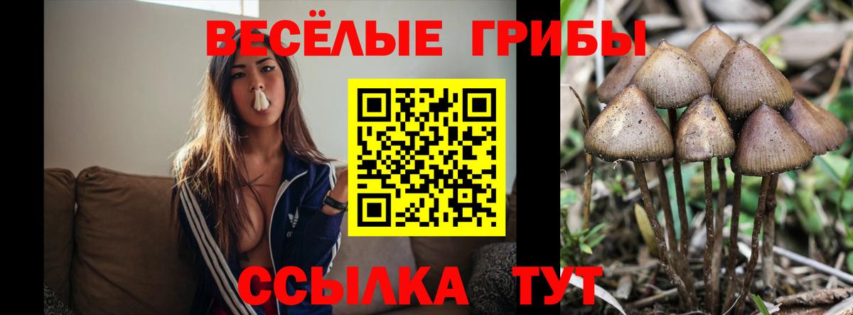 Псилоцибиновые грибы мицелий  Вход с VPN  Сергиев Посад 